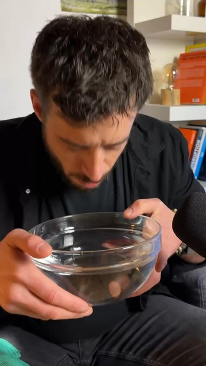 Vous connaissiez le réflexe d’immersion ?! 