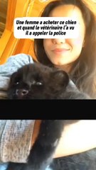 Elle a acheté ce chien adorable 🐶