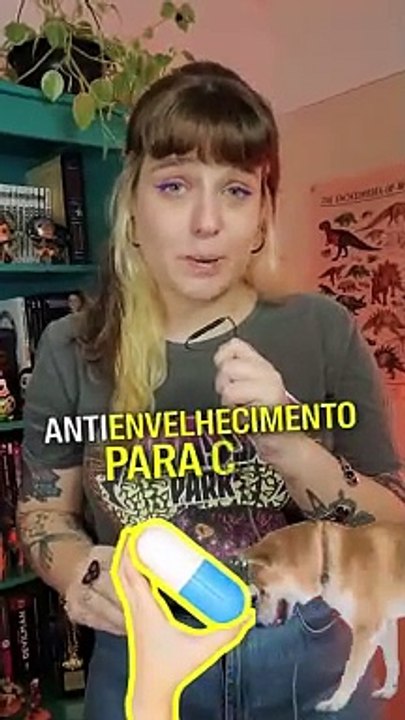Um remédio para prolongar a vida do seu cão