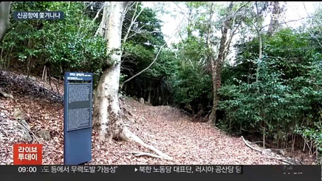 가덕도 신공항 건설 눈앞…사라질 멸종위기 동·식물