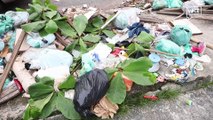 Comerciante, Patrícia Pires, denuncia acúmulo de lixo nos canteiros da Barão do Triunfo, em Belém