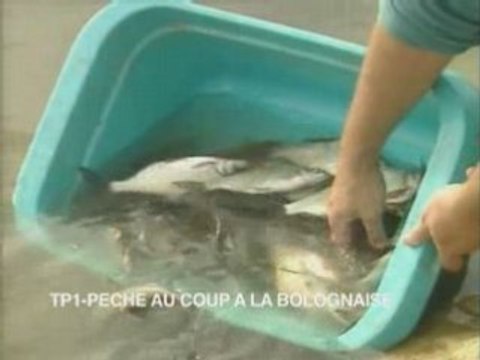 Peche au coup a la bolognaise avec Gerard Trinquier