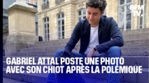 Gabriel Attal poste une photo de son chiot après la polémique à l'Assemblée nationale