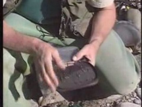 Peche de la Truite au Vairon Manie