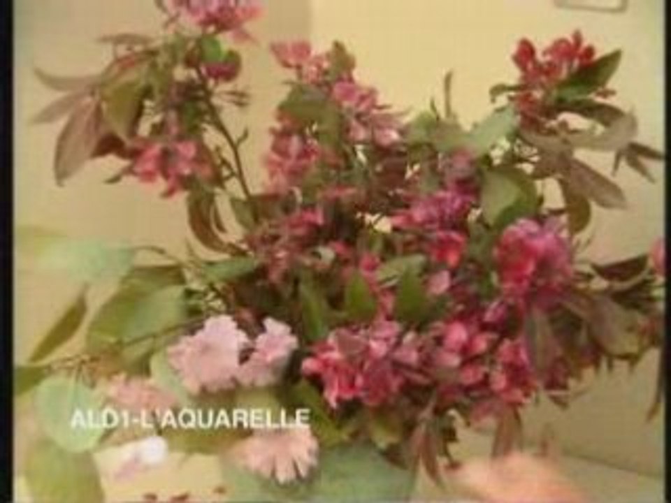 Peindre à l'aquarelle, Initiation et perfectionnement