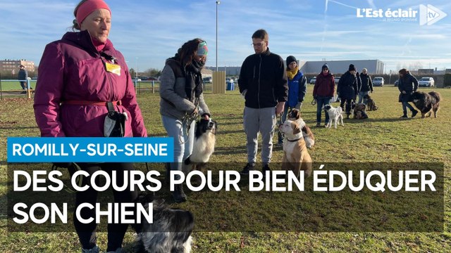 Des cours pour bien éduquer son chien à Romilly-sur-Seine
