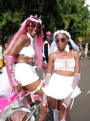 Les carnavaliers ont ambiancé les rues de Sainte-Luce en attendant le vidé