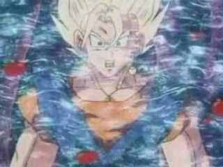 DBZ - Vegito seperates