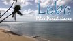 Ilhas paradisíacas - Lobo New Age