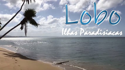 Ilhas paradisíacas - Lobo New Age