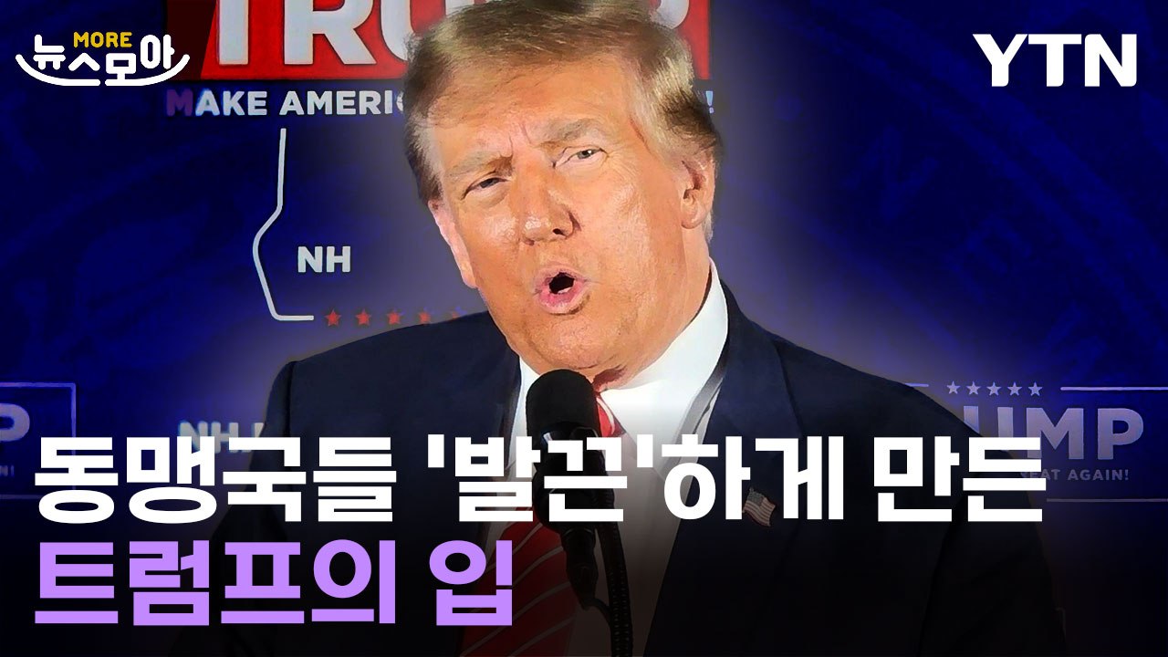 [뉴스모아] "푸틴 편 드나"…동맹국들 경악하게 만든 트럼프의 입 / YTN