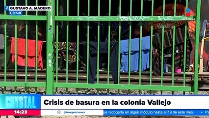 La Col. Vallejo enfrenta una crisis de basura, drenaje tapado y contaminación