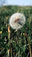 Sevdiğimiz İnsanlar İçin Çaba Sarf Etme