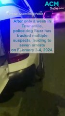 Townsville police dog Buzz tracks seven suspected offenders