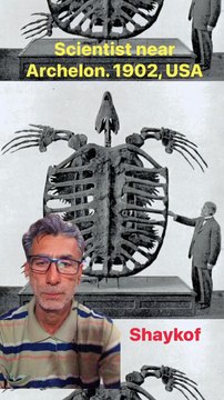 Scientist near Archelon. 1902, USA