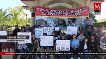 Envenenan a 20 perros en Hidalgo; autoridades buscan al responsable