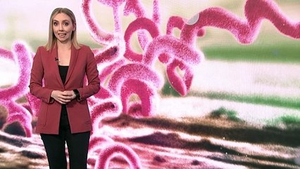 Cases of infectious syphilis in Queensland explode by 600 per cent in 15 years, killing more than a dozen babies