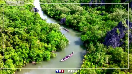 KohLanta, les Chasseurs d'Immunité