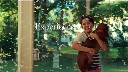 Le Teckel Bande-annonce (EN)