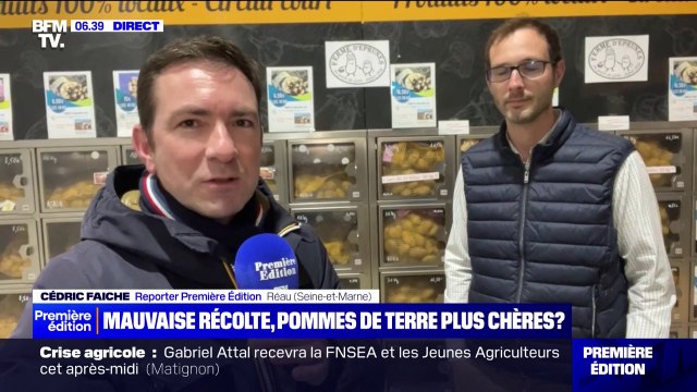 Météo, maladies et prix peu incitatif... va-t-on vers une pénurie de pommes de terre ?