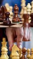 Buy Travel Chess Set _ Magnetic Chess Set _ Foldable Chess Set _ Chessbazaar® #shorts