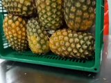 An Automated Peeling, Slicing And Packaging Of Pineapple #shorts #shortsvideo #video #viral #innovationhub