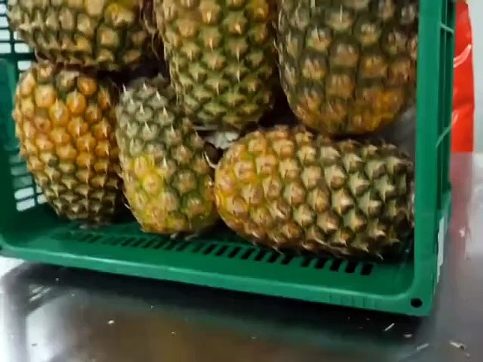 An Automated Peeling, Slicing And Packaging Of Pineapple #shorts #shortsvideo #video #viral #innovationhub