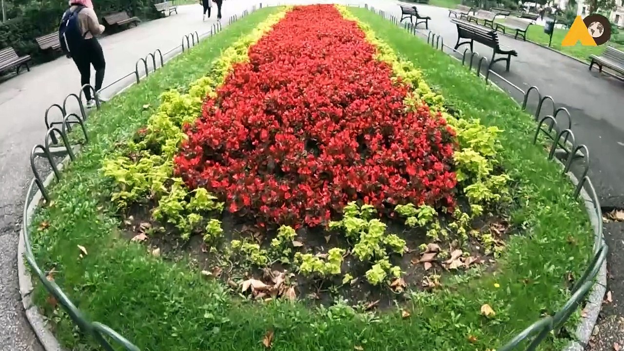 Everything you should know about Sofia  Activities in Sofia, Europe