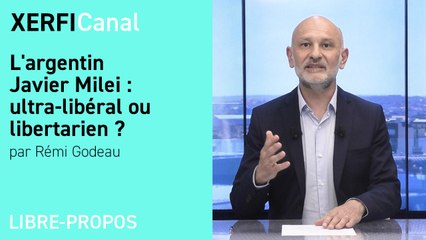 L'argentin Javier Milei : ultra-libéral ou libertarien ? [Rémi Godeau]