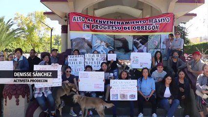 Estudiantes ingresan con armas en secundaria de Tamaulipas. Magda González, 12 de febrero 2024