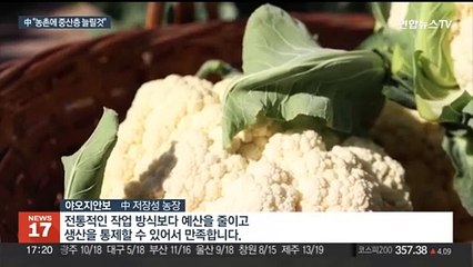 中 시진핑 '향촌 진흥모델' 전국화…올해 1호 국정과제도 농촌