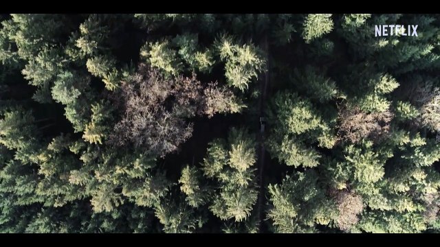 Das Signal Saison 1 - (DE)