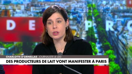 Charlotte d'Ornellas : «Le droit d’initiative  au niveau européen, il est à la Commission»