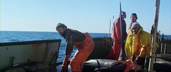 The Perfect Storm  - Ice Machine Gone