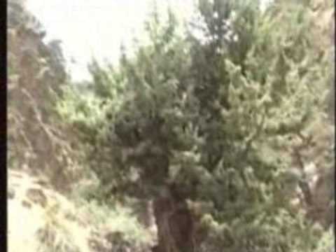 Rando Video : Randonnee Pedestre dans le Haut Atlas Marocain