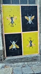 La calle de las moscas en Girona