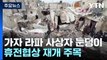가자지구 라파 사상자 눈덩이...휴전협상 재개 주목 / YTN
