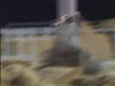 Reconnaitre les rapaces