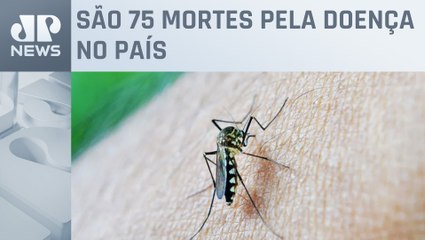 Brasil ultrapassa meio milhão de casos de dengue