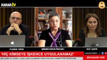 TTB Başkanı Şebnem Korur Fincancı: Hekim olarak yansız ve yüksüz olmak zorundayım