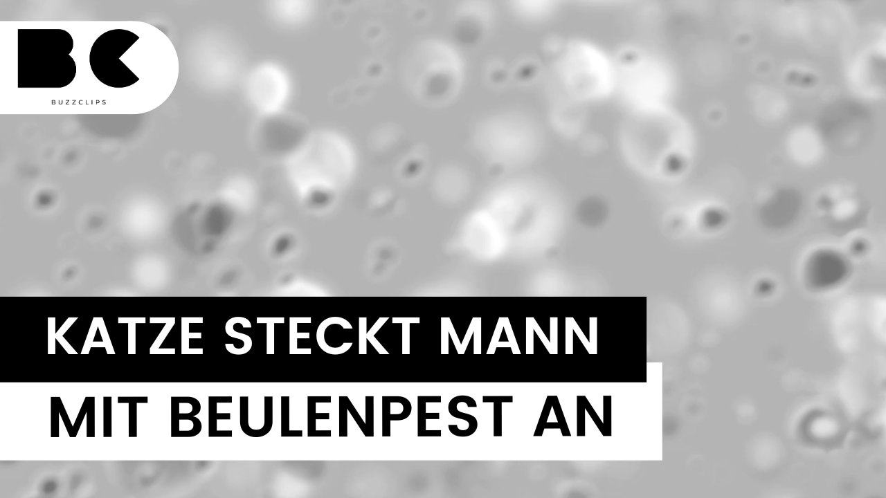 Mann von Katze mit Beulenpest infiziert worden