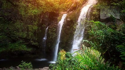 Famous Quote About Courage | Achieve Anything with Ease