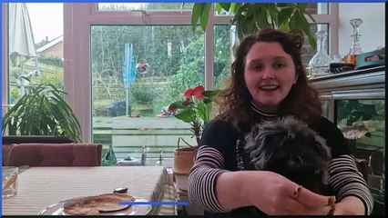 Easy Homemade Dog Pancakes 🐶: Step-by-Step Recipe