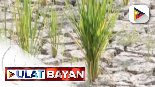 DA, tiniyak ang sapat na supply ng pagkain sa bansa sa gitna ng inaasahang epekto ng El Niño