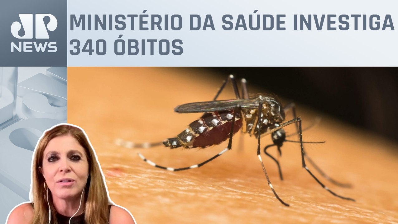 Infectologista alerta para aumento de casos de dengue no Brasil