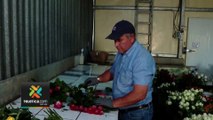 tn7-comerciantes-de-flores-reportan-bajas-ventas-vispera-de-san-valentin-130224