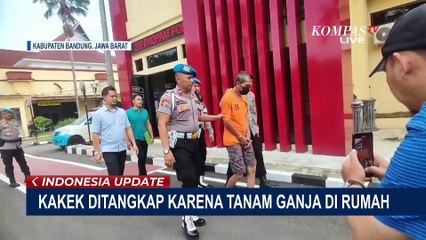 Kakek di Kab Bandung Terancam Pidana 20 Tahun Karena Tanam Ganja