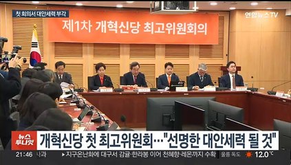 개혁신당 "최소 30석은 넘어야 양당 횡포 막아"…김종인 공관위원장?