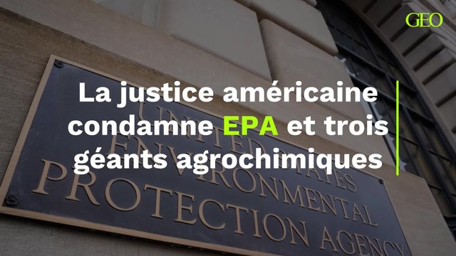 La justice américaine condamne l'Agence de protection de l'environnement et trois géants agrochimiques