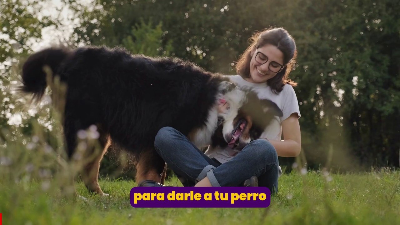 150 RECETAS CANINAS